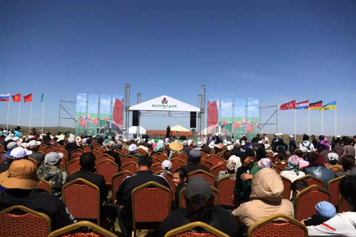 На родине тюльпанов: Жамбылская область провела международный фестиваль