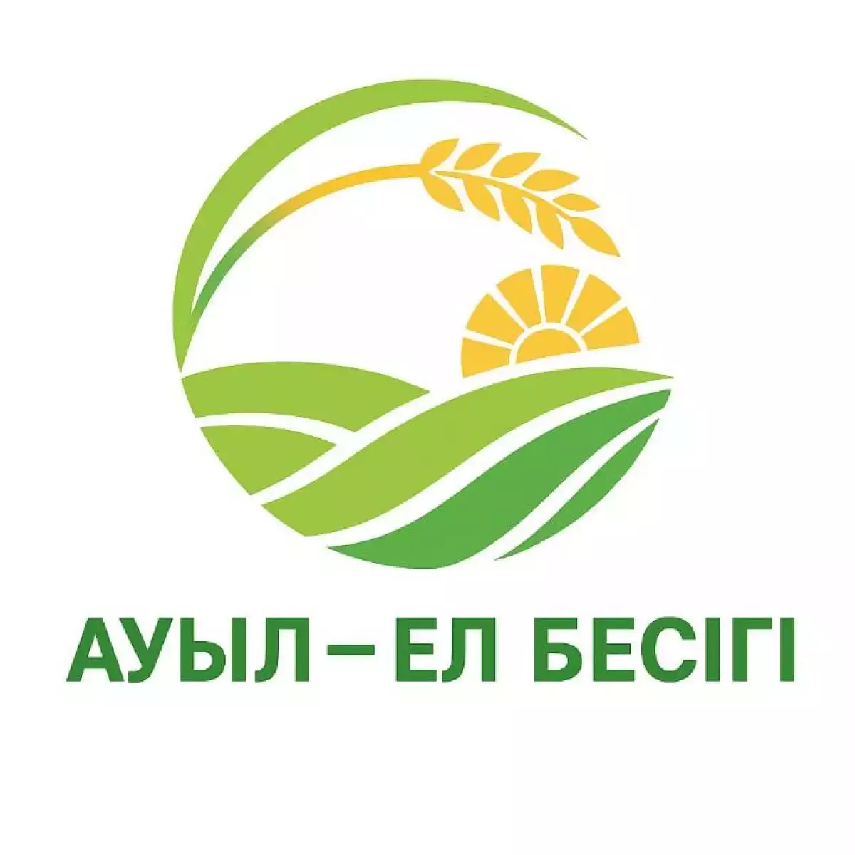 В 2025 году в селах Казахстана реализуют тысячу новых проектов на сумму 176,4 млрд тенге
