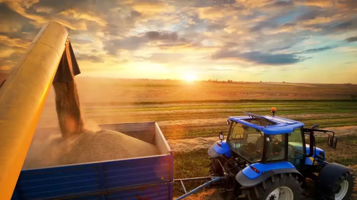 Показатели развития и основные достижения сельского хозяйства области в 2025 году