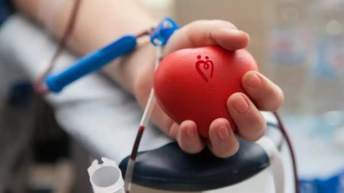 ОСНОВНЫЕ ПОКАЗАТЕЛИ И ДОСТИЖЕНИЯ ЖАМБЫЛСКОГО ОБЛАСТНОГО ЦЕНТРА КРОВИ