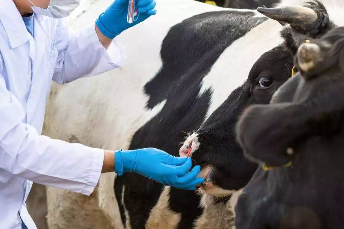 В ТАЛАССКОМ РАЙОНЕ ПРОВЕДЕНА ПРОФИЛАКТИКА ПРОТИВ 12 ИНФЕКЦИОННЫХ ЗАБОЛЕВАНИЙ